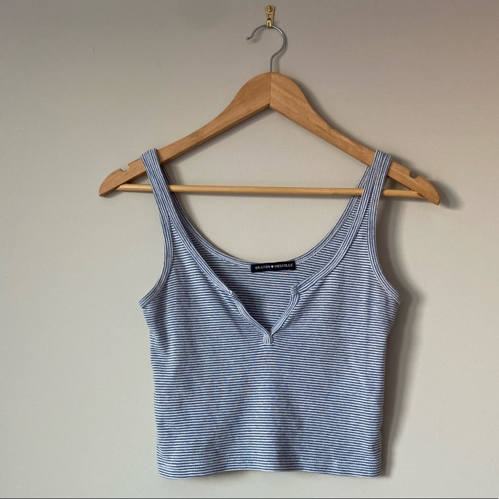 Brandy Melville Crop Top
